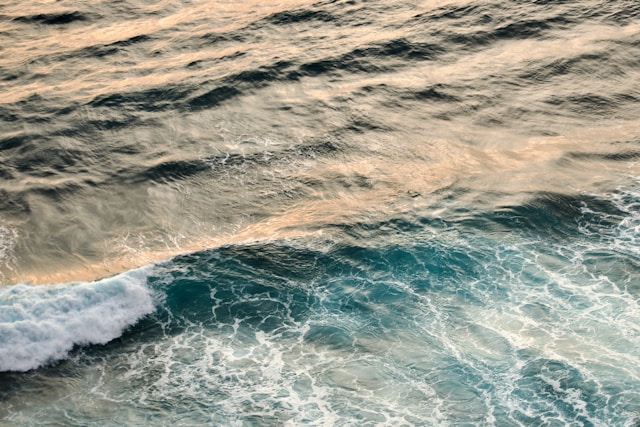 Florida’s Coral Reefs Face Existential Threat as Warming Waters and Disease Devastate Ecosystems